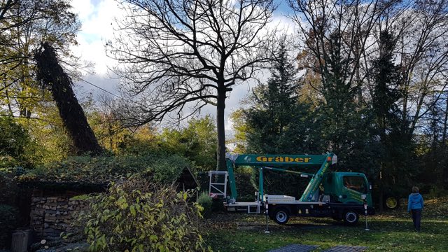 Hubarbeitsbühne bei einer Fällung im Garten