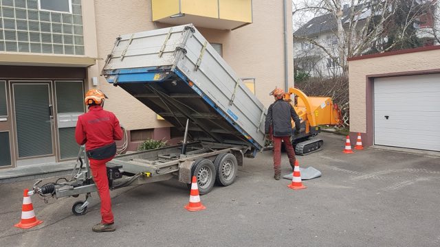 Abtransport des Schnittguts mit Anhänger
