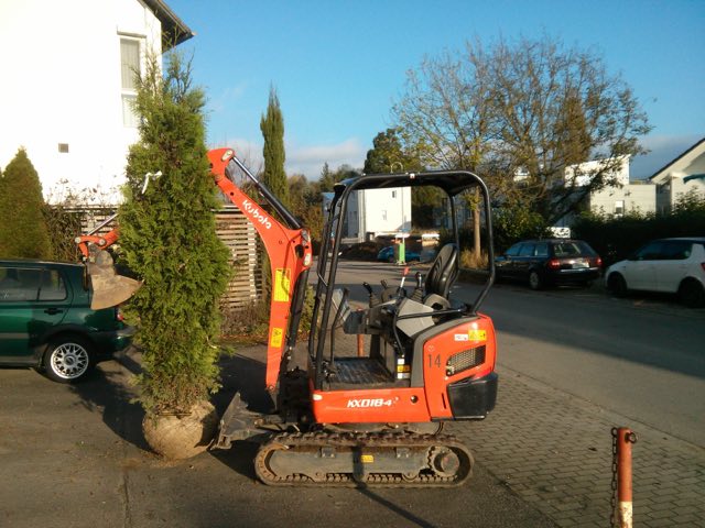 Minibagger setzt eine Thuja
