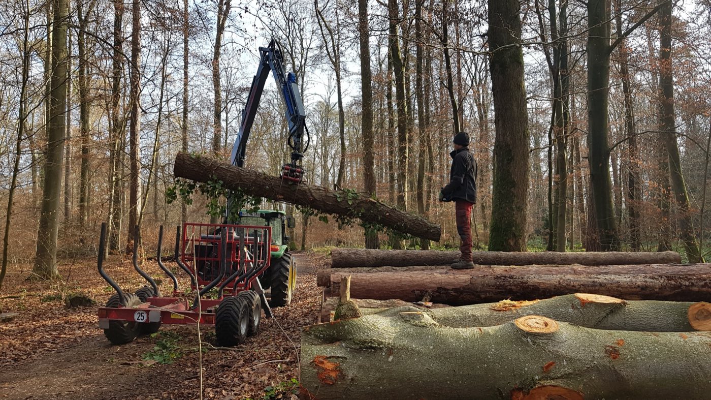 Rückewagen mit Kran lädt Baumstämme im Wald