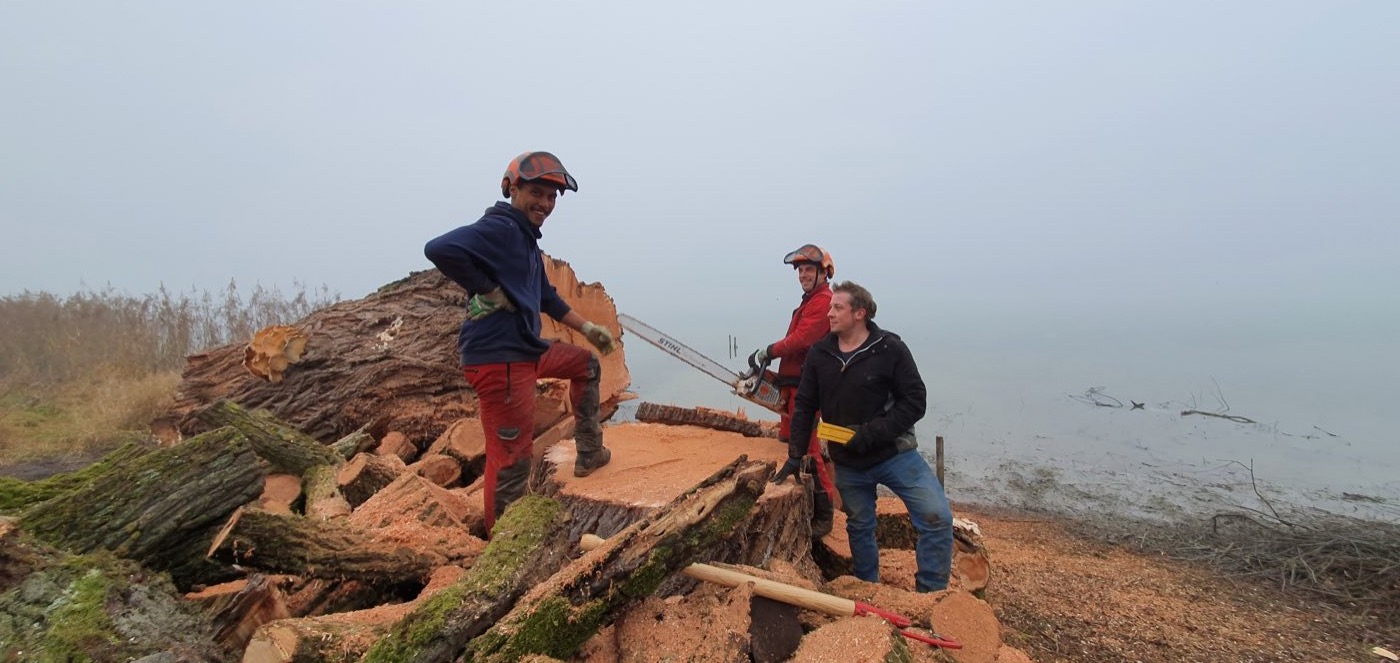Das GaLanFo-Team beim Holzspalten am Ufer des Bodensees